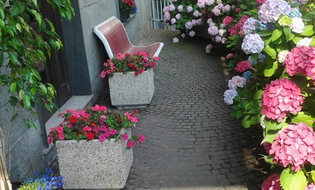 Alpignano Casa Delle Ortensie Bed & Breakfast エクステリア 写真